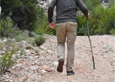 Kammanasie Camino 2025 Hiker wih walking cane