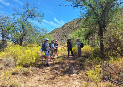 Kammanasie Camino 2025 Hikers in shade of tree