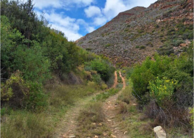 Kammanasie Camino 2025 Hiking trails