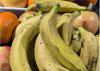 Kammanasie Camino Fruit basket