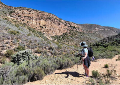 Kammanasie Camino Hiker enjoying view of mountains